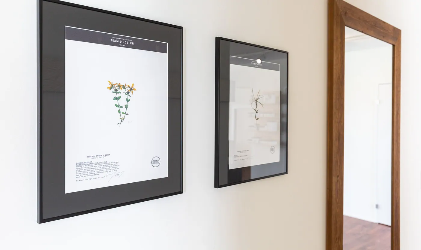 Gerahmte Bilder an der Wand im Institut